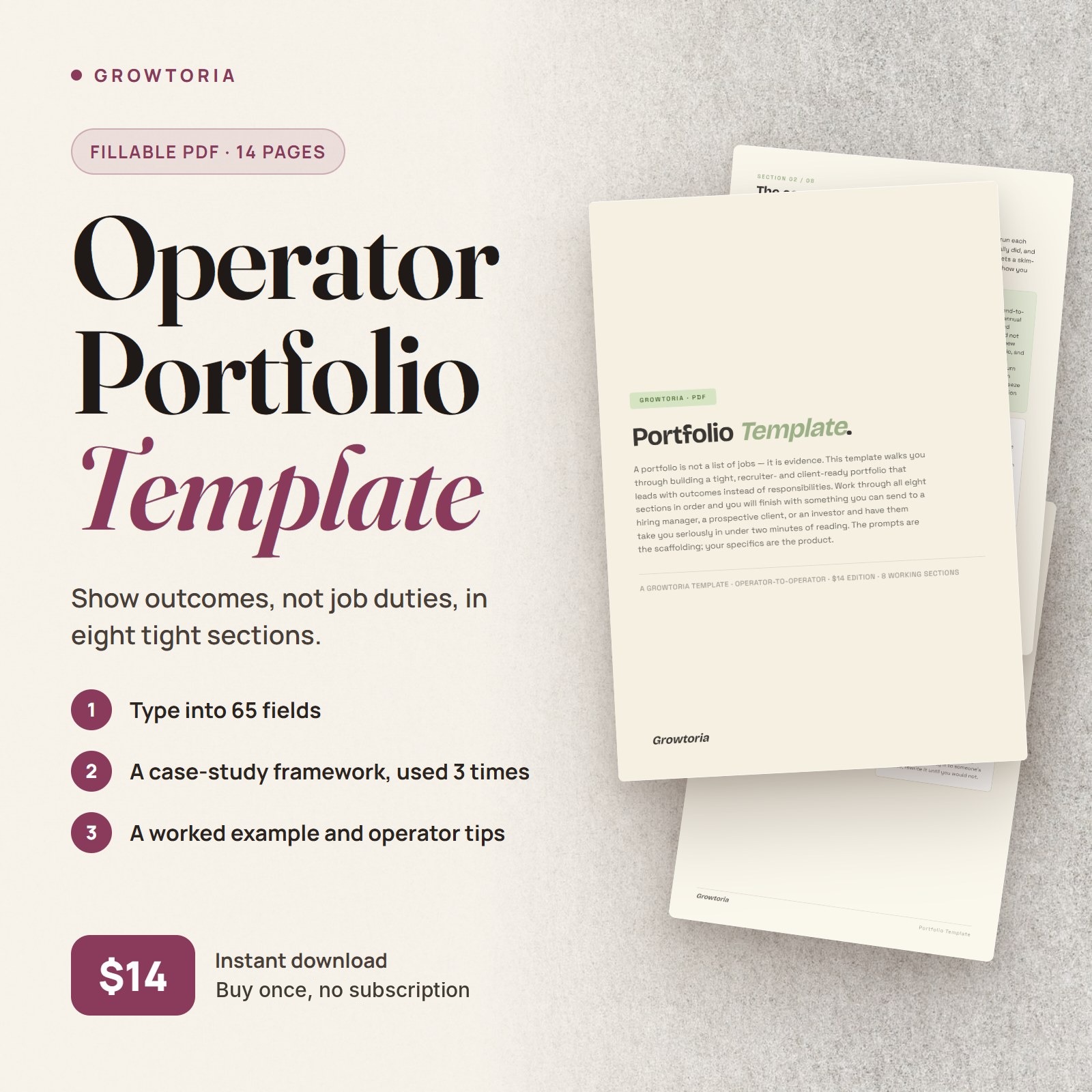 Operator Portfolio Template | Case Study Framework for Consultants, PMs (Editable PDF)
